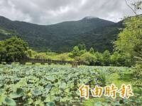 200元消費券「挺光復」！ 馬太鞍野萌節健走免費送