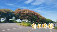 彰化「最美小徑」現身！東螺溪五色林道美到像出國