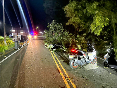 強風吹倒路樹 花蓮2大學生騎車撞上慘摔