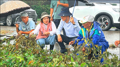 薔琵強風無雨釀鹽塵害 雲林農損億元