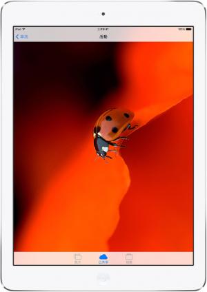 iPad Air用戶增加速度 大幅超越iPad 4