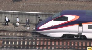 斑鳩親嘴 天雷勾動地火 電桿爆炸釀停電 社會 自由時報電子報