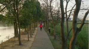 妙齡女夜騎遇狼遭指侵 幫打手槍趁射精逃走