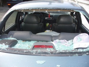 擄鴿還打人 警破擄鴿集團