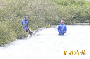 救援出手！嘉縣府協調加工廠：全面收購虱目魚