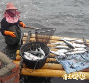 寒流太強 雲林兩日已凍死6人