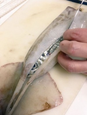 買生鮮烏賊回家料理 意外「買一送一」