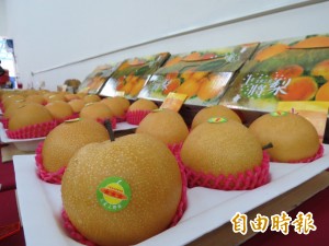 嘗鮮要快！三星上將梨產量減、品質好