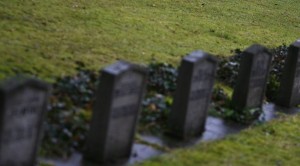 又爆難民性侵！ 德79歲老婦在公墓受辱