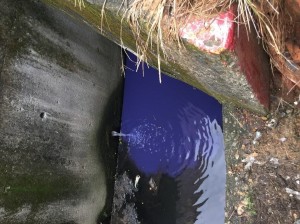 紙器工廠違法排放廢水 溝渠染色挨罰