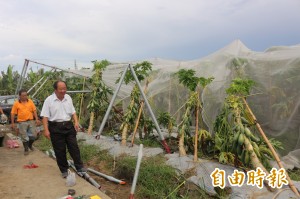 颱風後「農業孤兒垃圾」沒去處 縣府幫忙想辦法
