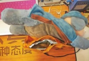 中國電暖袋用到一半爆炸 女雙腿燙傷