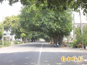 昔日朝聖大道 今竟成單車熱門景點