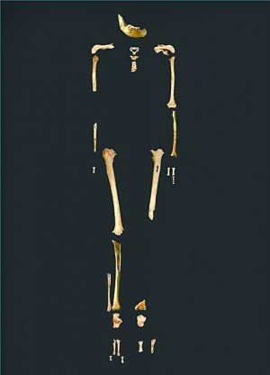 4萬年北京「田園洞人」 證實有美洲亞馬遜人基因