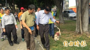 褐根病入侵屏東市林蔭大道 有請「狗醫生」診斷