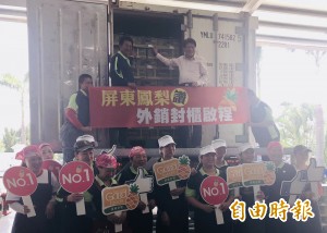 屏東鳳梨外銷封櫃啟航 今年目標成長12％