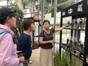 清華大學成立百蕨園保育珍稀瀕危蕨類 生活 自由時報電子報