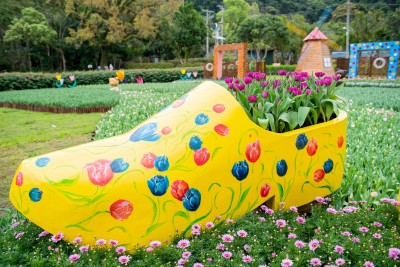 士林官邸鬱金香展 2月21日登場