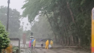 豪大雨炸中南部 台鐵集集線樹倒路線中斷