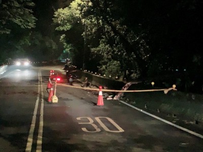 疑路樹倒塌釀禍 女騎士摔車噴飛傷重亡