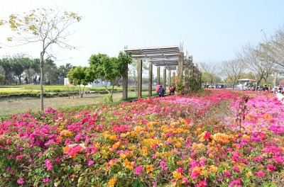 「走春」必訪！2020「花在彰化」大年初一就開始了