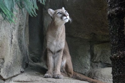 水氣減少北部轉多雲 週末放晴中南部上看30度