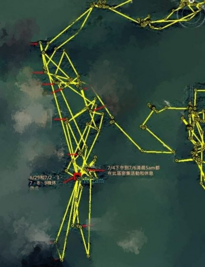 野放2個月趴趴走 廣原小熊似已找到固定生活區域
