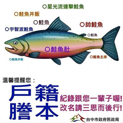 海鮮詐欺 低價混充高價英媒揭露 誤標 率高達4成 國際 自由時報電子報