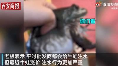 中国餐廳老闆爆「牛蛙氣球」注水 網︰潛規則讓人頭皮發麻