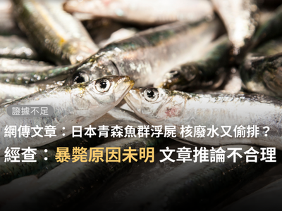 馬公漁港深夜出現大量魚屍農漁局 應非污染造成 生活 自由時報電子報