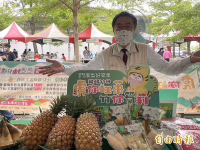 虎你旺萊竹你筍利 台南龍崎鳳梨好筍季登場