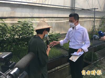 林智堅參觀有機農場 用韭菜作「青醬」香味十足