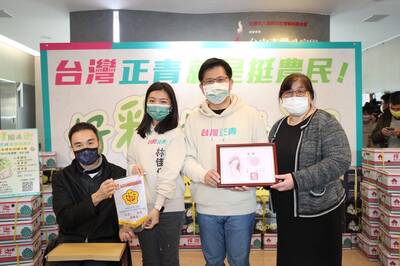 台中議員選舉民進黨提名生變?二選區林佳儀動向受關注