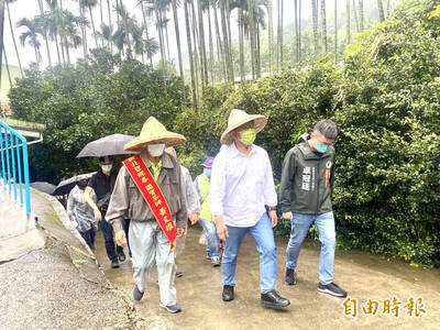 林佳龍當「半日茶農」 盼讓台灣茶文化發揚光大