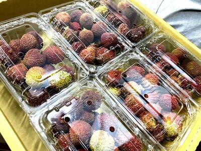 台灣水果再傳捷報 荔枝通過防檢正式銷入紐西蘭