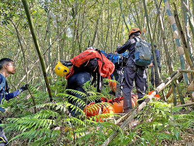 《TAIPEI TIMES》 Two killed, nine injured after being stung by hornets