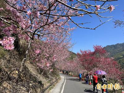 雲林不好玩？春節訂房率唯一超過7成 居全國之冠