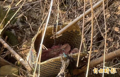 玄！南投警打獵中槍亡 死者曾戴過的頭燈突亮起、找到竹簍讓嫌犯露餡