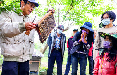《TAIPEI TIMES》 Instructor generates positive buzz with sweet lessons on urban beekeeping