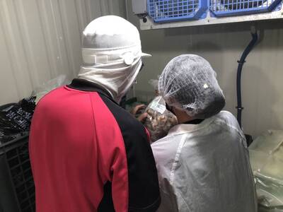 台中女中、大華國中123人疑食物中毒 2團膳業恢復供餐