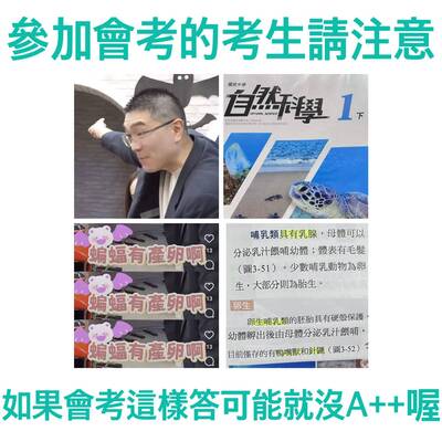 謝國樑稱蝙蝠產卵惹議 市府稱現場即修正 議員：內鬼必須究責