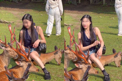 正妹硬坐奈良鹿拍美照？小鹿「眼神死」全網炸鍋⋯⋯真相曝