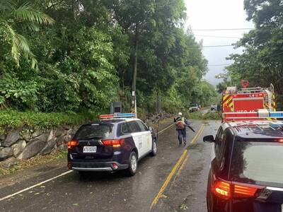 凱米颱風襲台風雨漸增 北市山區2起路樹倒塌