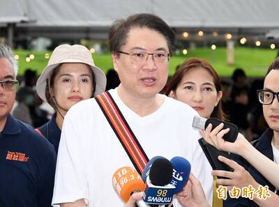 陳佩琪自爆開「人頭公司」卻扯超思蛋 林右昌：面對問題別東扯西扯