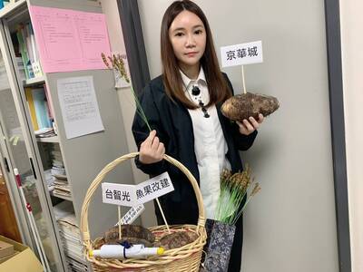 曾質詢柯文哲秘書「橘子」桃色糾紛 陳怡君還原：柯下屬內鬥