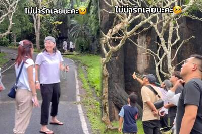 中國女遊客疑在泰國動物園「拿彈弓射猴」 惡劣行徑引眾怒