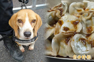 爽吃水餃驚見「米格魯」 網笑翻：鹹狗