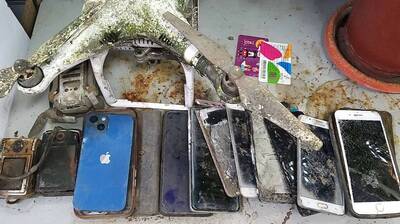 溪頭大學池清淤「看光光」 20年來「落水機」、哀鳳全出土