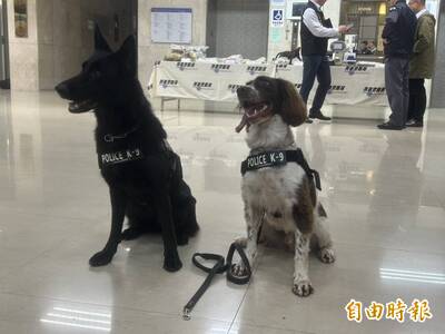 「毒品雜貨店」藏身回收廠內貨櫃屋 緝毒犬神鼻助攻剿破