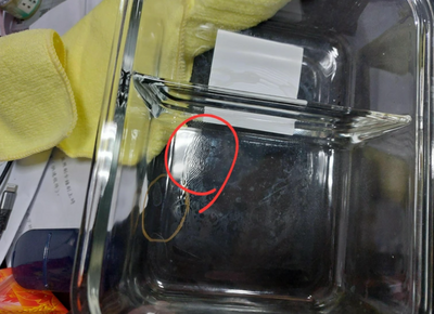 保鮮盒出現「神秘波紋」他很困惑！網曝原因